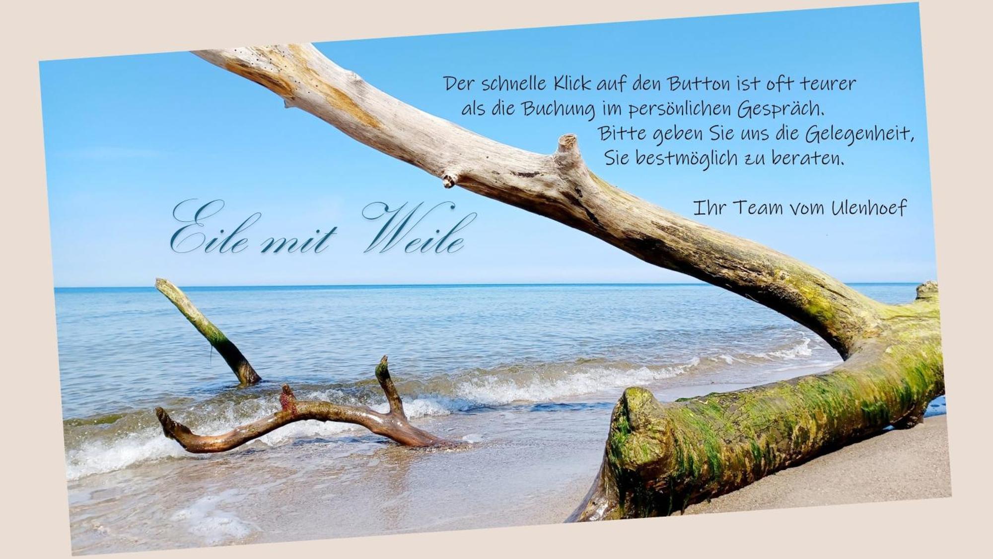 Fewo Weide - Ulenhoef Prerow Dış mekan fotoğraf